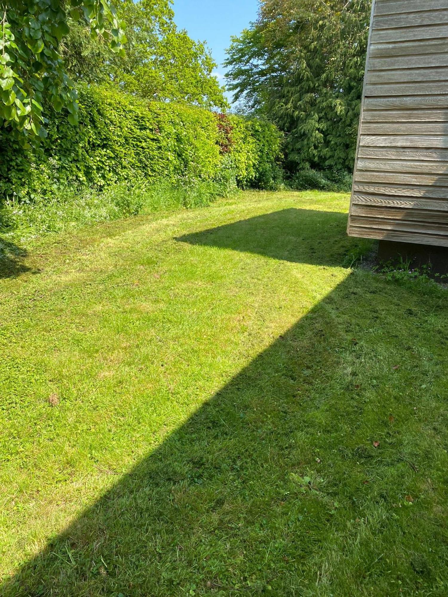 Wood Place Diss Extérieur photo